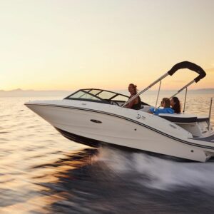 Stock Sea Ray 19 SPX